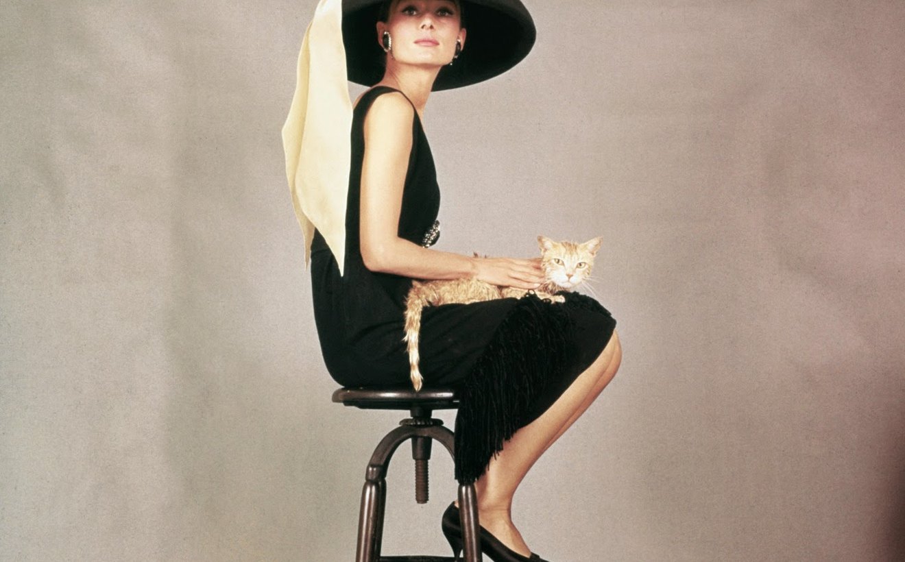 Visual context around Audrey's Secret Struggle.