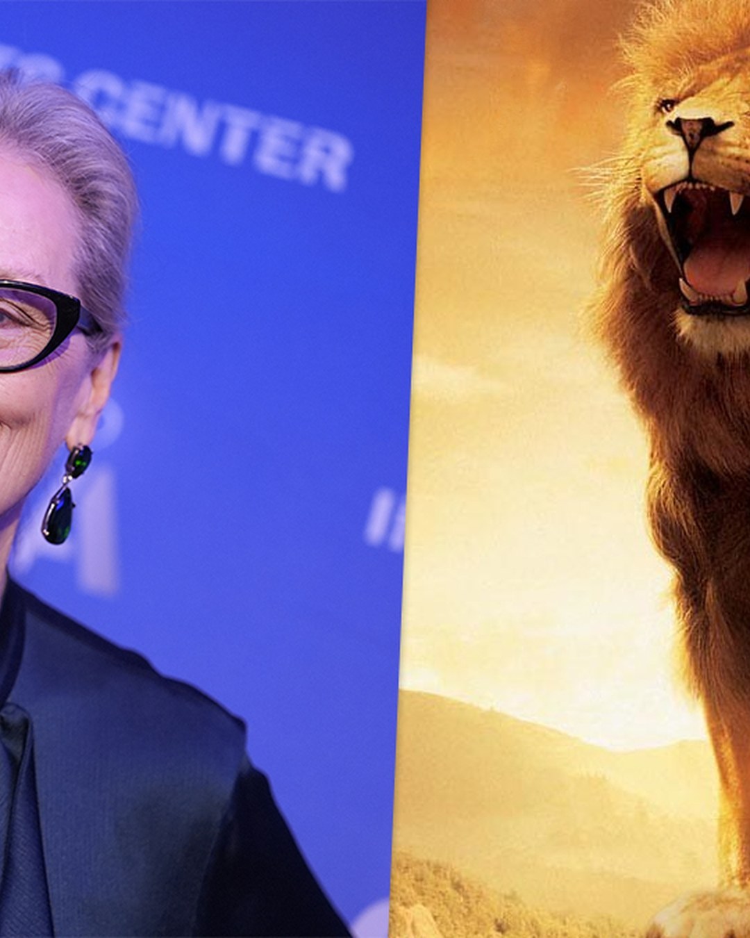 The New Aslan Revealed - The New Aslan Revealed